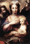 BECCAFUMI, Domenico Madonna with the Infant Christ and St John the Baptist  gfgf oil painting reproduction